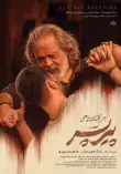 پیر پسر